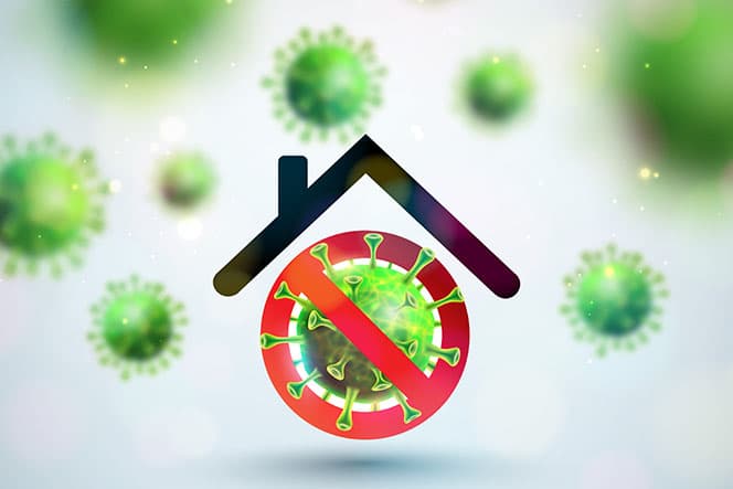 acariens et allergènes